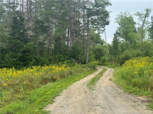 . Upper Waweig Rd, Waweig, NB 