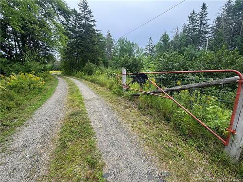 . Upper Waweig Rd, Waweig, NB 