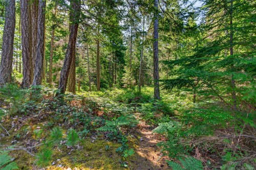 657 Sierra Pines Rd, Comox, BC 