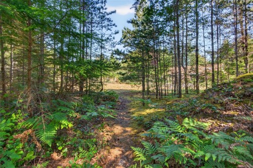 657 Sierra Pines Rd, Comox, BC 