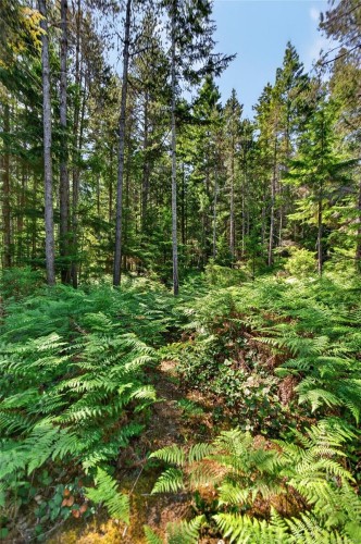 657 Sierra Pines Rd, Comox, BC 