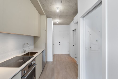 Mud Room - 713A-3045 Boul. De L'Assomption, Montréal (Mercier/Hochelaga-Maisonneuve), QC - Indoor Photo Showing Kitchen