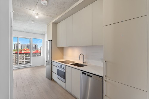 Kitchen - 713A-3045 Boul. De L'Assomption, Montréal (Mercier/Hochelaga-Maisonneuve), QC - Indoor Photo Showing Kitchen With Upgraded Kitchen