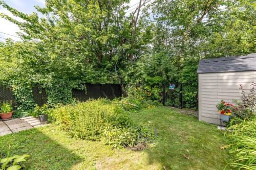 Cour - 33 Av. Portway, Pointe-Claire, QC - Outdoor