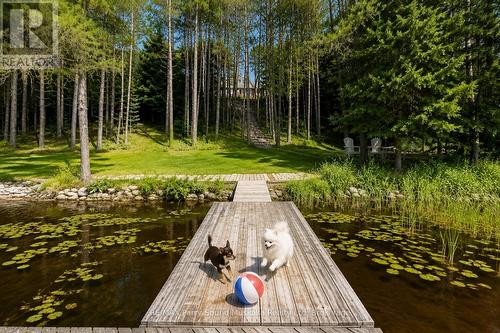 587 Centre Road, Mckellar, ON - Outdoor With View