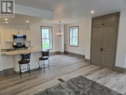 Apt 1 open concept - 