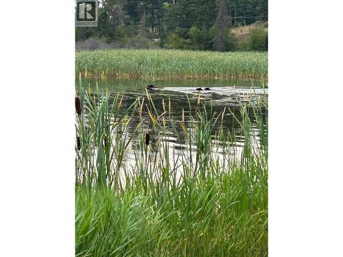 9498 Westside Road, Invermere, BC - 