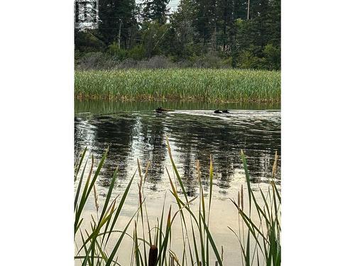 9498 Westside Road, Invermere, BC - Outdoor With View