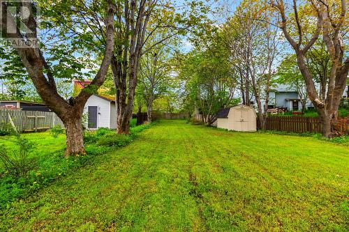 2 Blackmarsh Road, St. John'S, NL - Outdoor
