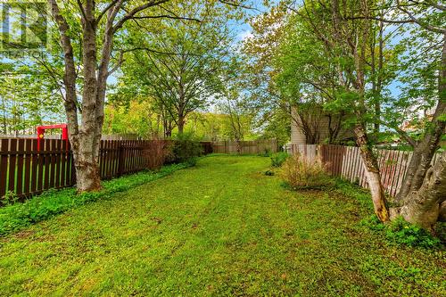 2 Blackmarsh Road, St. John'S, NL - Outdoor With Backyard