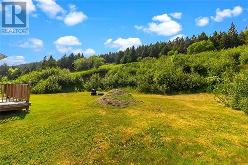 255 Corporal Jamie Murphy Drive, Conception Harbour, NL - Outdoor With View
