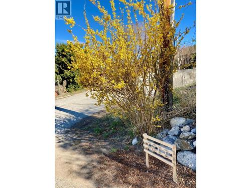3812 Albrecht Road, Naramata, BC - Outdoor With View