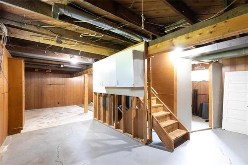 250 Toronto Ave, Morris, MB - Indoor Photo Showing Basement