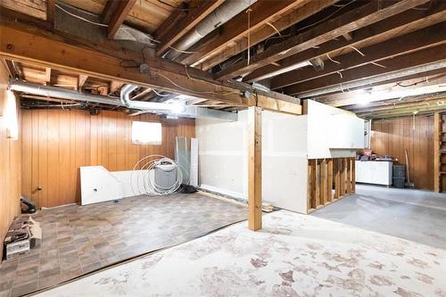 250 Toronto Ave, Morris, MB - Indoor Photo Showing Basement