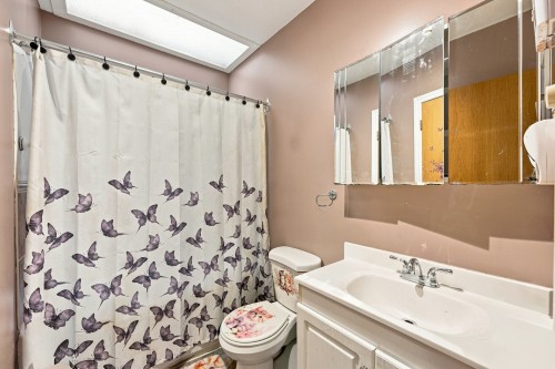 Bathroom - 2365  - 2367 Rue French, Montréal (Mercier/Hochelaga-Maisonneuve), QC - Indoor Photo Showing Bathroom