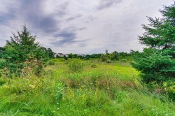 View - 