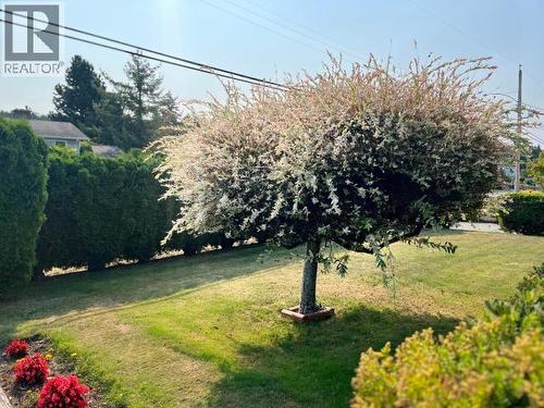 3763 Selkirk Ave, Powell River, BC - Outdoor