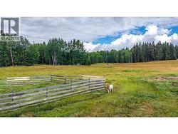 4361 HARDY ROAD  Forest Grove, BC V0K 1M0