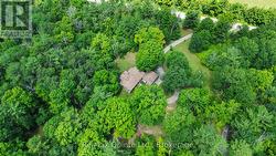 35 CONCESSION ROAD 11 ROAD E Trent Hills, ON K0L 1Y0
