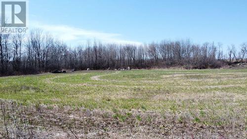 0 Squire Road, Stirling-Rawdon (Rawdon Ward), ON - Outdoor With View