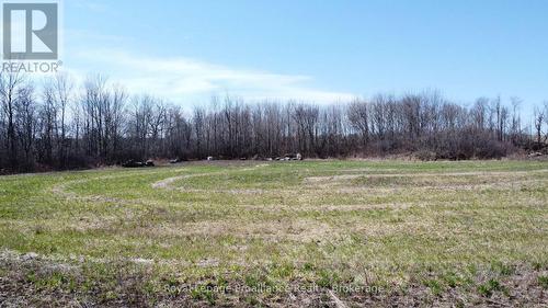 0 Squire Road, Stirling-Rawdon (Rawdon Ward), ON - Outdoor With View