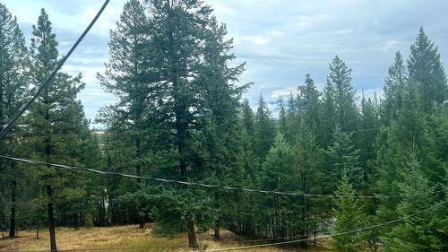 5801 Six Mile Lane, Cranbrook, BC - Outdoor With View
