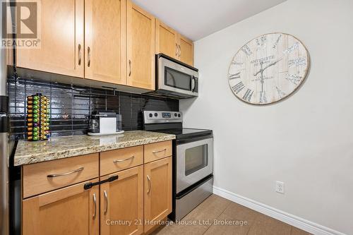 207 - 901 Paisley Road, Guelph (Willow West/Sugarbush/West Acres), ON - Indoor Photo Showing Kitchen