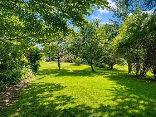 20 Agnew Street, Amherst, NS - Outdoor