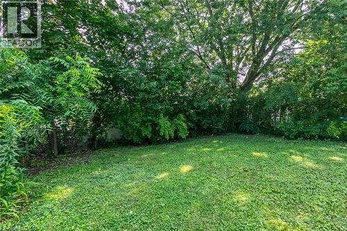 36 Amos Avenue, Waterloo, ON - Outdoor