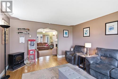 147 River Road, Appleton, NL - Indoor Photo Showing Living Room With Fireplace