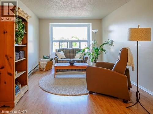 Bright natural light - 60 Donly Drive S Unit# 206, Simcoe, ON - Indoor Photo Showing Living Room