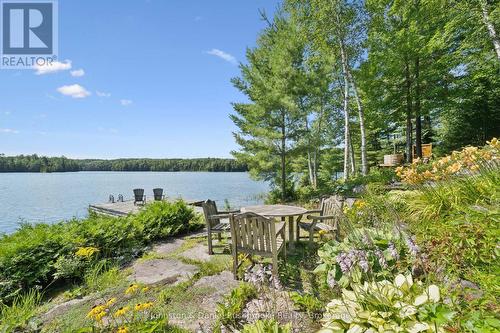 842 Emsdale Lake Road, Kearney, ON - Outdoor With Body Of Water With View
