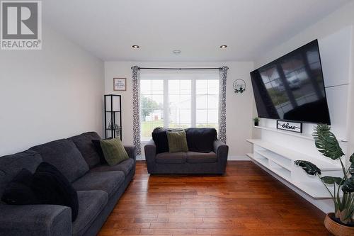 84 Morgan Drive, Gander, NL - Indoor Photo Showing Living Room