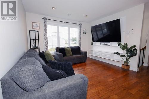 84 Morgan Drive, Gander, NL - Indoor Photo Showing Living Room