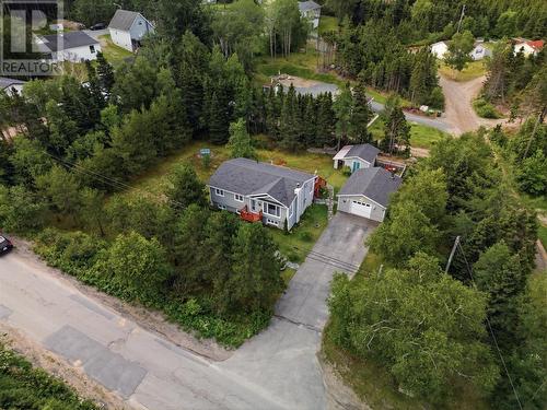 2 Juniper Crescent, Traytown, NL - Outdoor With View