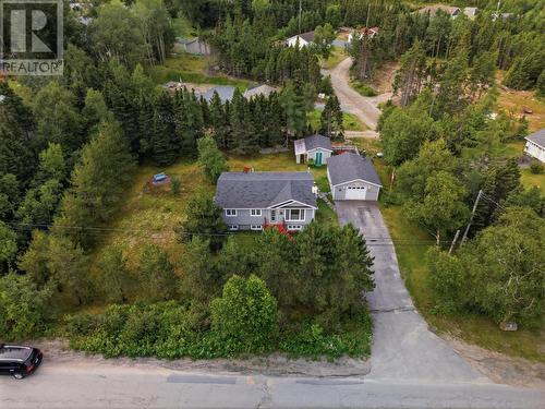 2 Juniper Crescent, Traytown, NL - Outdoor With View