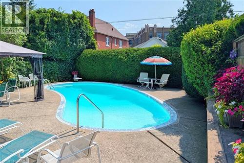 Freeform swimming pool with integrated steps, concrete pool deck, and dense perimeter hedging - 107 Bond Street S, Hamilton, ON - Outdoor With In Ground Pool With Backyard