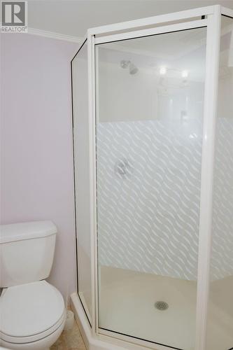 5 Alcock Crescent, Gander, NL - Indoor Photo Showing Bathroom