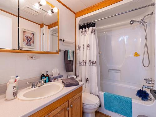 6055 Highway 12, North Alton, NS - Indoor Photo Showing Bathroom