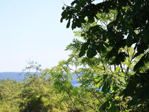 3515 Highway 3, East Chester, NS - Outdoor With View