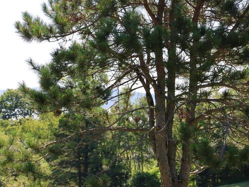3515 Highway 3, East Chester, NS - Outdoor With View