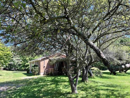3515 Highway 3, East Chester, NS - Outdoor