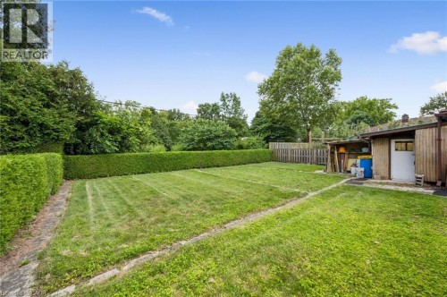 Expansive green lawn with established hedge borders and a functional storage shed - 133 Emma Street, Guelph, ON - Outdoor