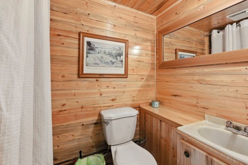 Salle d'eau - 62 Ch. Lakeview, Saint-Adolphe-D'Howard, QC - Indoor Photo Showing Bathroom