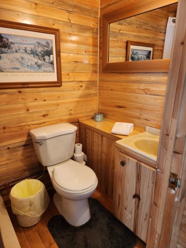 Salle d'eau - 62 Ch. Lakeview, Saint-Adolphe-D'Howard, QC - Indoor Photo Showing Bathroom