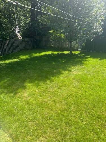 Cour - 320 Rue Des Forges, Laval (Duvernay), QC - Outdoor
