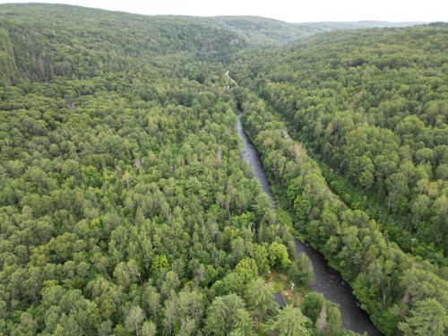 Vue d'ensemble - 82 Tsse Picard, Mandeville, QC - Outdoor With View