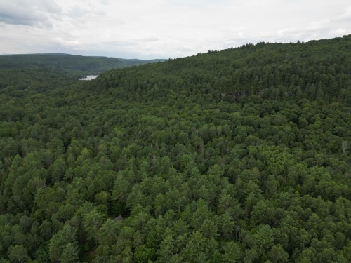 Vue d'ensemble - 82 Tsse Picard, Mandeville, QC - Outdoor With View