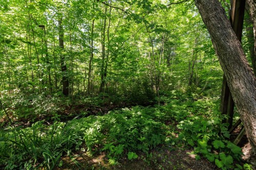 Extérieur - 14 Rue Kilteevan, Hudson, QC - Outdoor