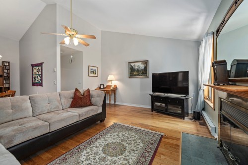 Salon - 14 Rue Kilteevan, Hudson, QC - Indoor Photo Showing Living Room With Fireplace